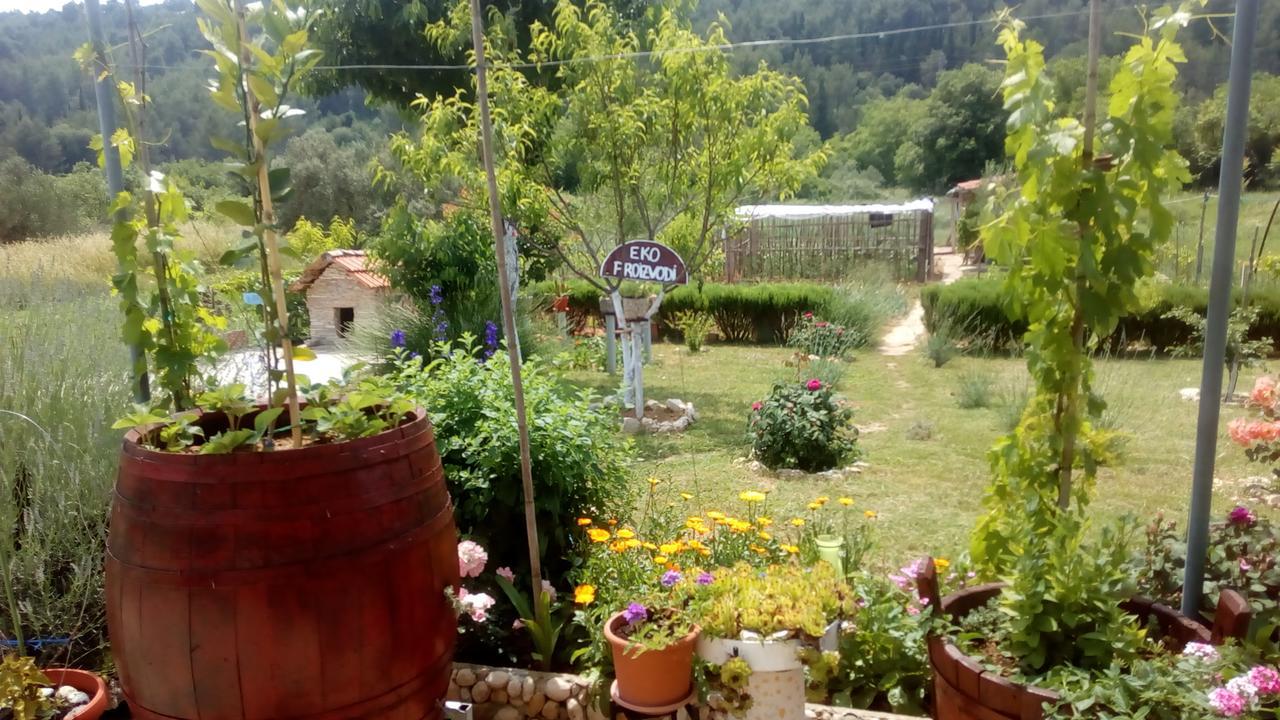 Apartamento Apartman Rosa Skradin Exterior foto