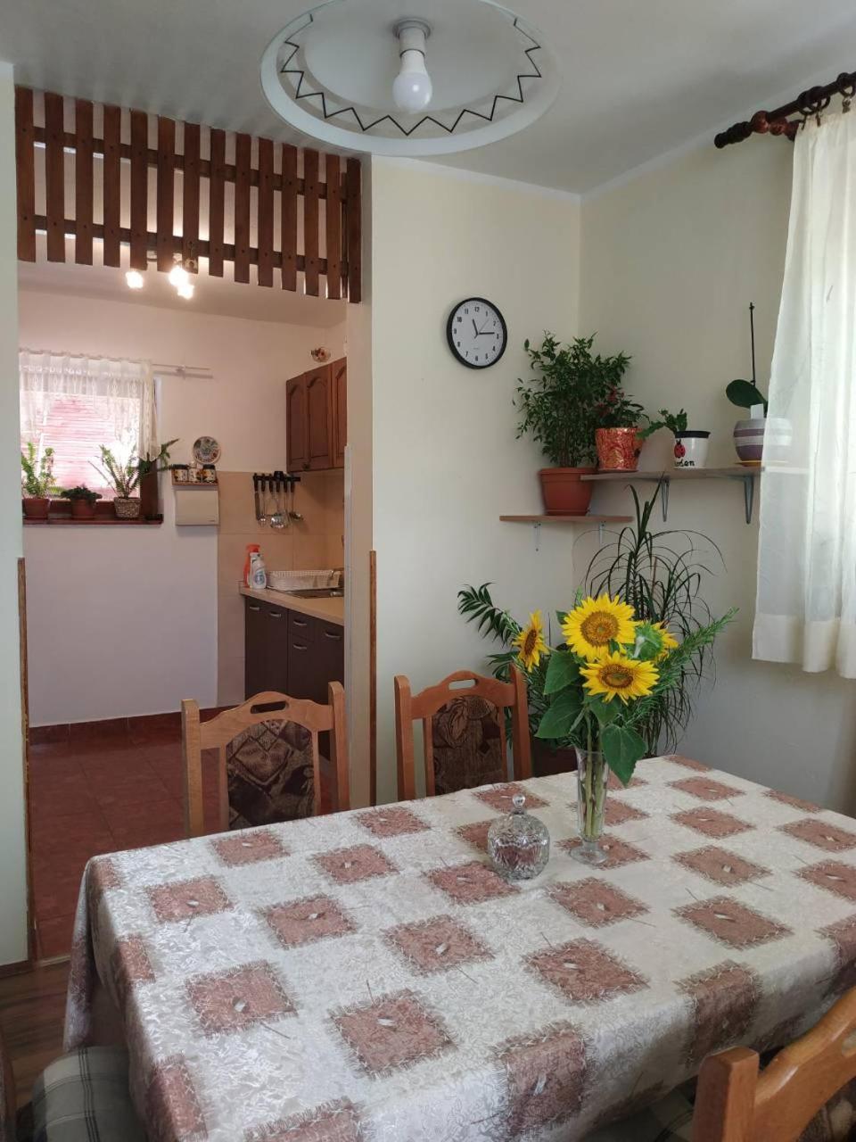 Apartamento Apartman Rosa Skradin Exterior foto